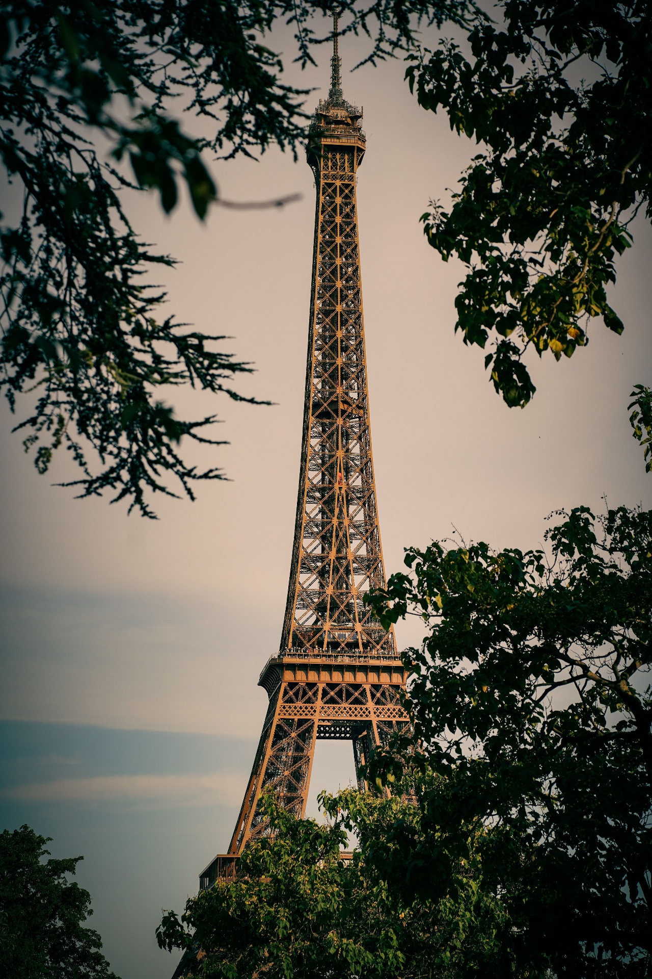 La tour Eiffel à Paris